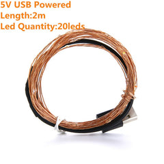 FDFUIDG 2M 5M10M Strip Light Led String Light Cooper Wire 3AA battery Christmas Light For Garland Holiday Fairy Wedding Party Decoration